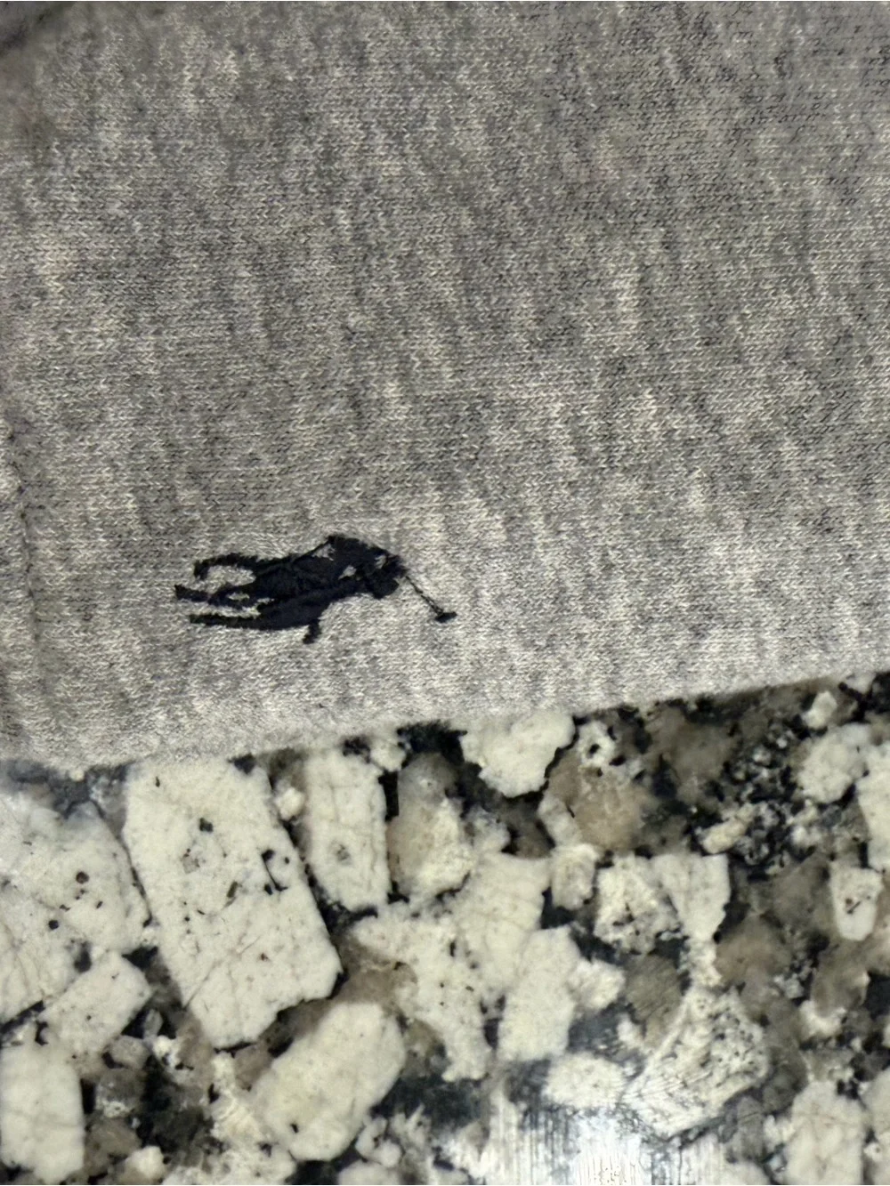 Polo Ralph Lauren polo by